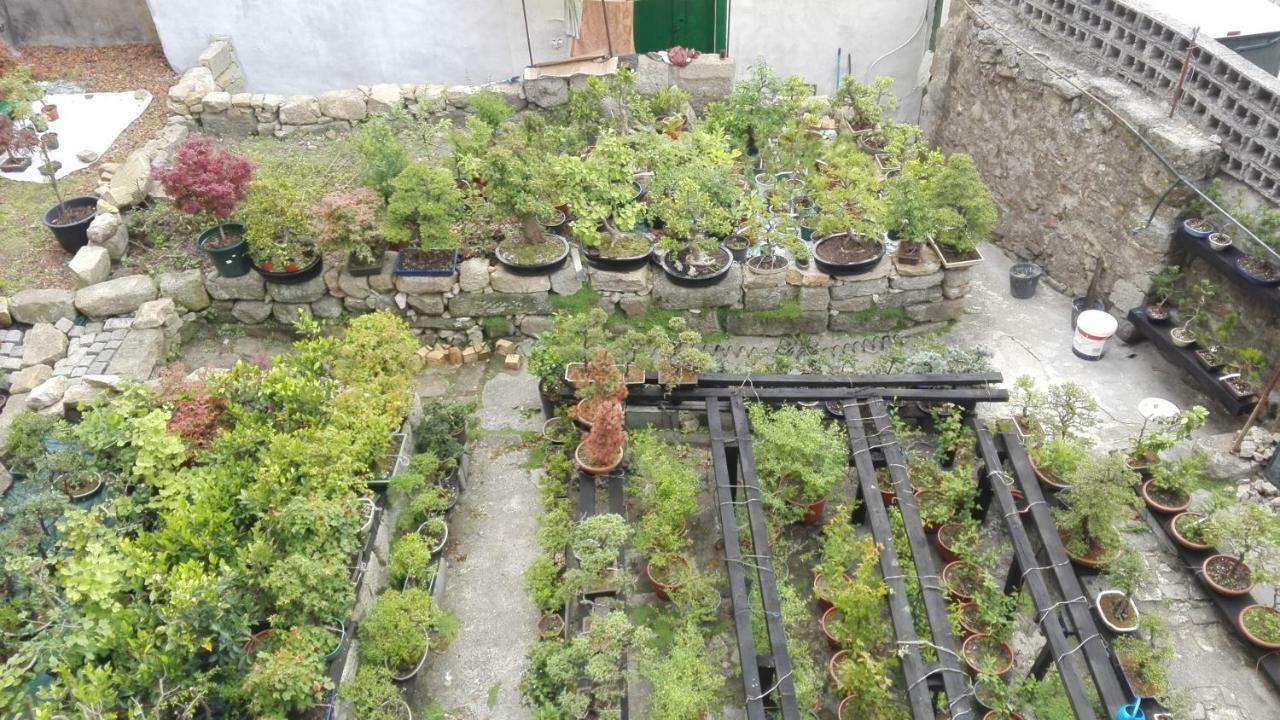 Sao Dinis Séjour chez l'habitant